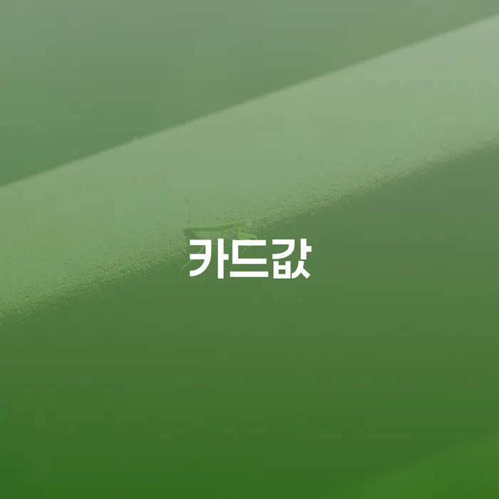 대출 연체 5일 빚 해결할 확인하자
