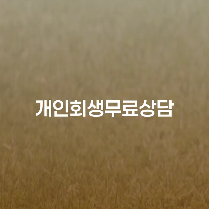 빚갚는방법 채무 효과적인 해결방법 조심스럽게