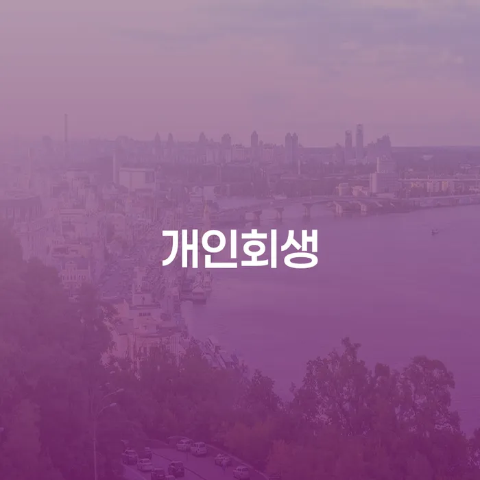 직장인저금리대환대출 연체 시 개인회생,개인파산으로 접수하자