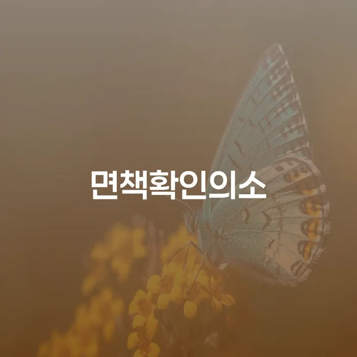 진도군 개인회생전자소송 채무 효과적인 해결방법 구체적으로 살피면서