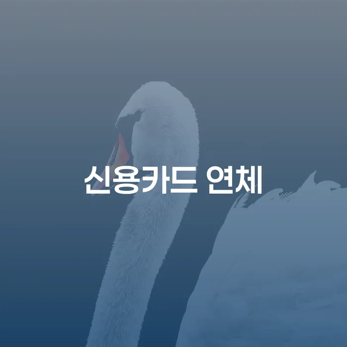 강화군 빚청산 개인회생으로 해결 실제사례