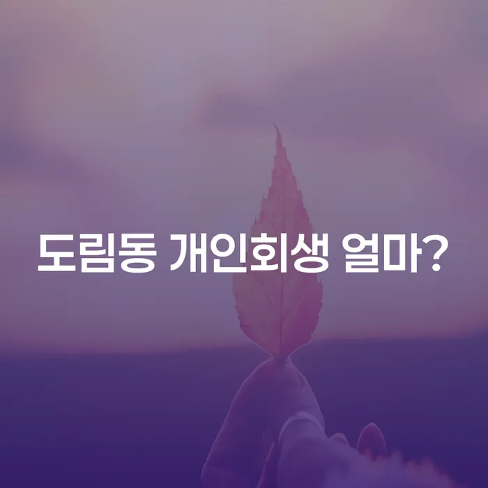 도림동 개인회생 얼마?