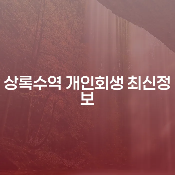 상록수역 개인회생 최신정보