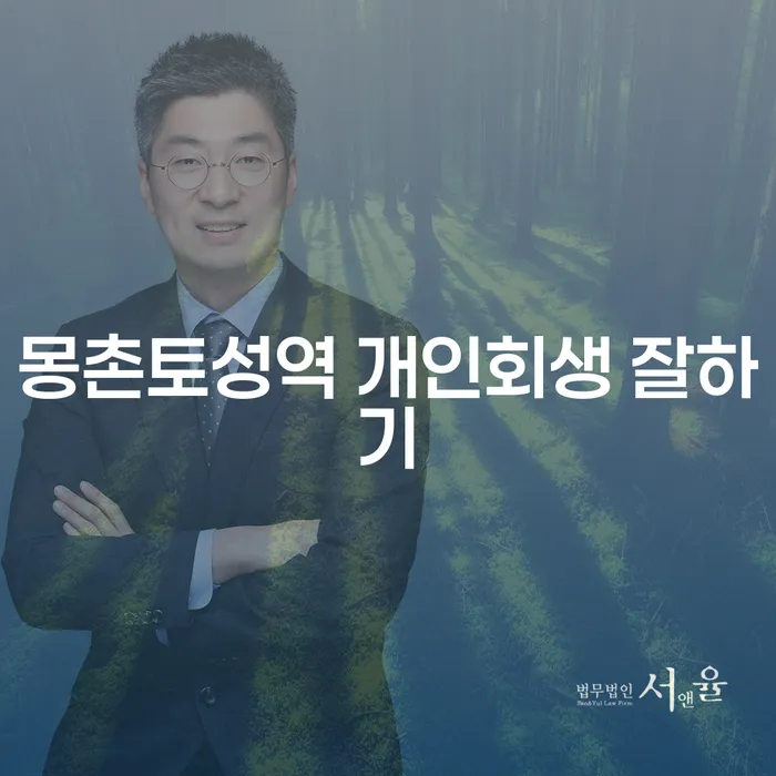 몽촌토성역 개인회생 잘하기