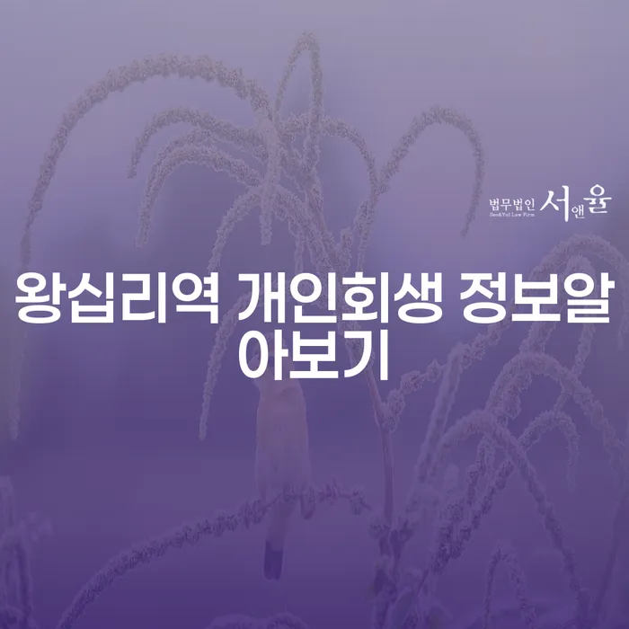 왕십리역 개인회생 정보알아보기