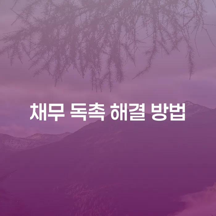 채무 독촉, 어떻게 해결해야 할까요?