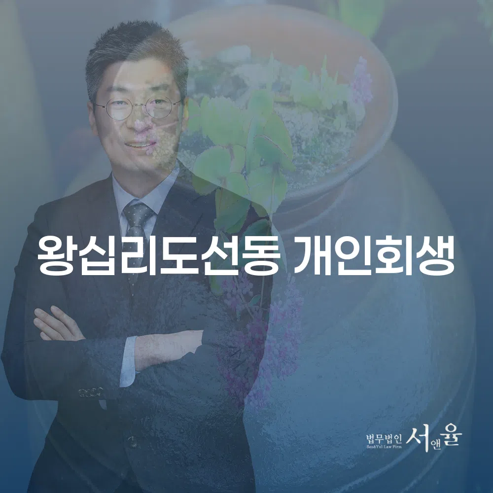 왕십리도선동 개인회생 절차와 성공 전략