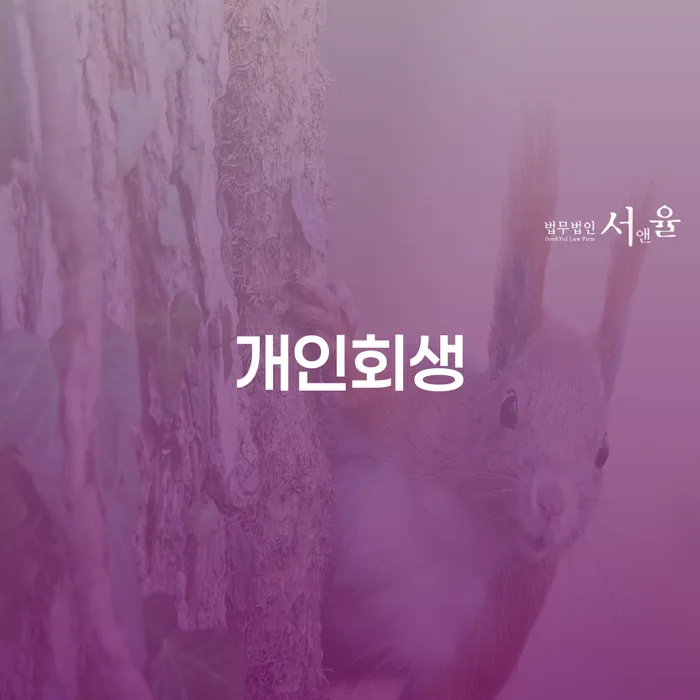 의성군 개인회생의 혜택과 절차에 대한 심층 분석