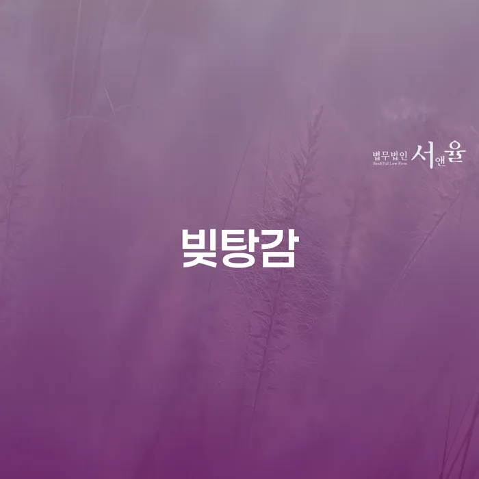 38살 8230만원의 빚, 개인회생과 파산 중 어떤 선택이 적절할까요?