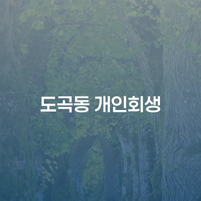 왜 도곡동 개인회생이 채무자에게 최상의 선택일까요?