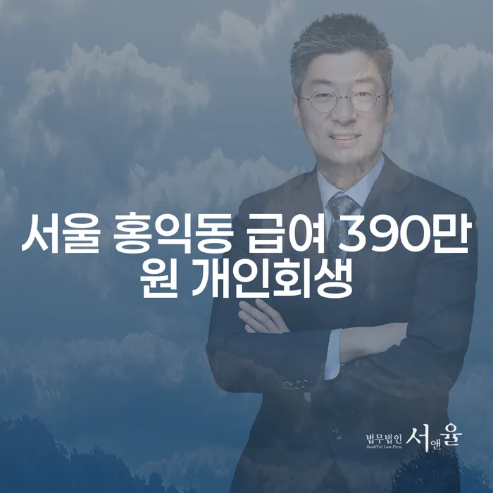 서울 홍익동 급여 390만원 개인회생, 하나카드부채증명서로 가능한가요?