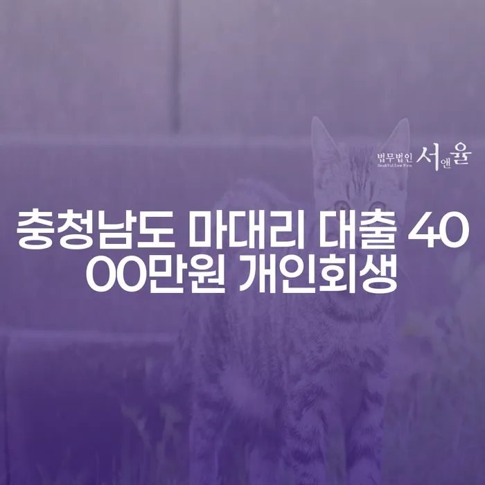 충청남도 마대리에서 4000만원 대출, 개인회생으로 해결할 수 있을까?