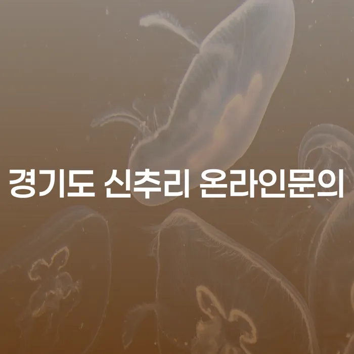 경기도 신추리에서 온라인 문의를 통해 고양시 개인파산, 어떻게 접근해야 할까요?