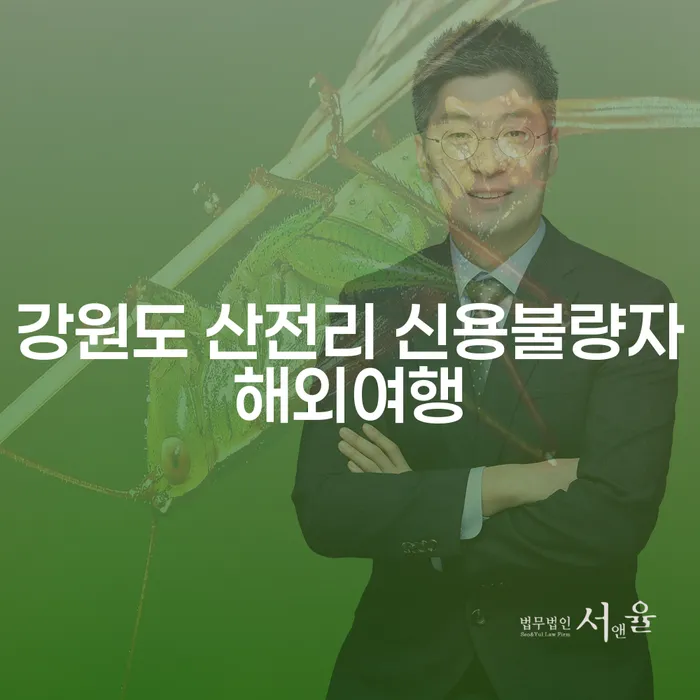 강원도 산전리 신용불량자 해외여행, 개인회생자는 어떻게 가능할까요?