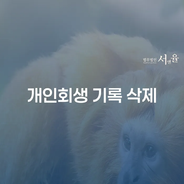 개인회생 기록, 어떻게 삭제할 수 있을까요? 전문가의 조언을 들어보세요